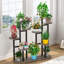Plant Stand-1873477803