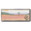 Cactus Plateau II - toile encadrée-485374058