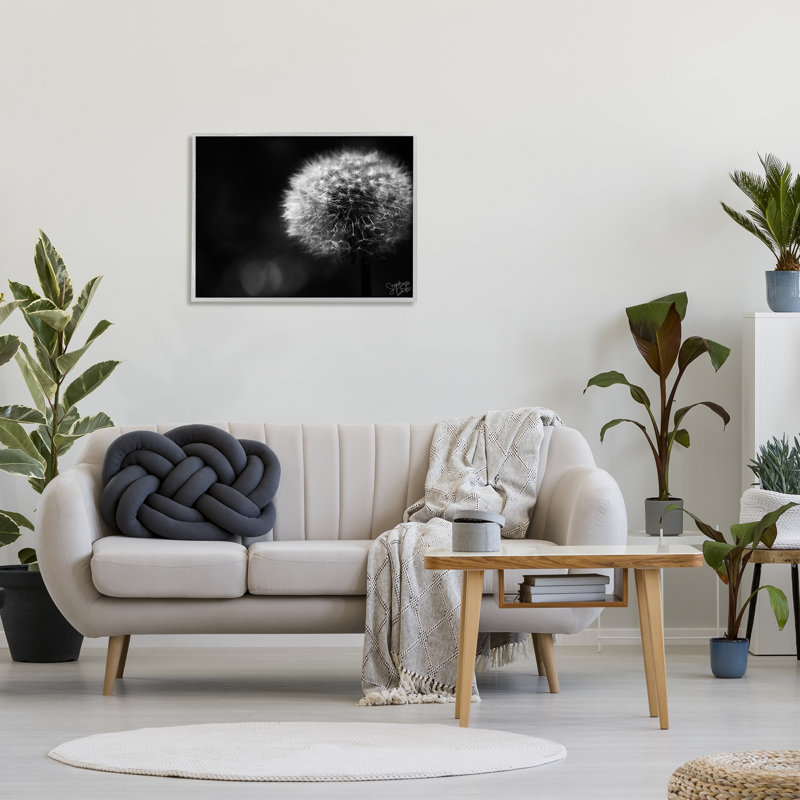 «Modern Black Dandelion» par Stephanie Dicks - Photographie à cadre flottant sur bois, L 30 po x H 24 po x P 1,5 po