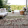  Chayden Area Rug with Non-Slip Backing