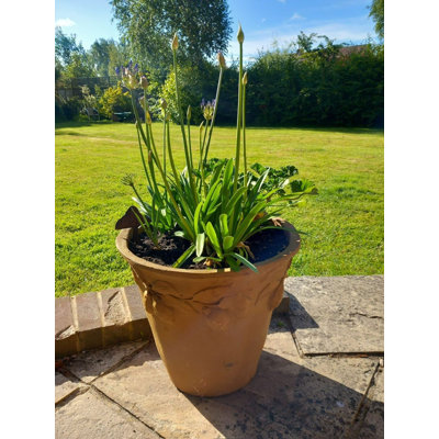 Zachariah Fiberglass Planter