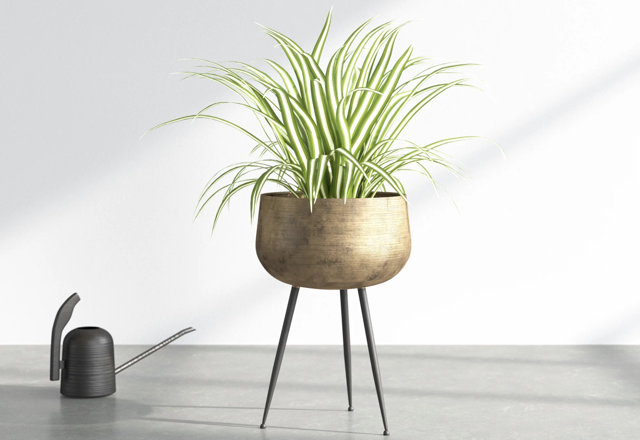 Top-Rated Planters From $25