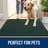 Dog Door Mat For Muddy Paws  Absorbs Moisture And Dirt Absorbent Non Slip Washable Doormat Quick Dry Chenille Mud Mat Entry Indoor Entryway Carpet For Inside Floor-1813257005