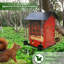 Mangeoire pour oiseaux 2 pièces Red House