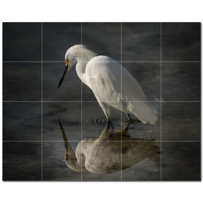 Picture-Tiles.com PT500162-54XL