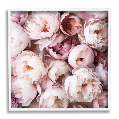 Az-498-Framed " Varied Peony Blooms " by Riley B