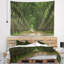 Sentier en tapisserie de forêt verte épaisse-1153906241