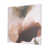 Restrained Beginnings n'est pas disponible