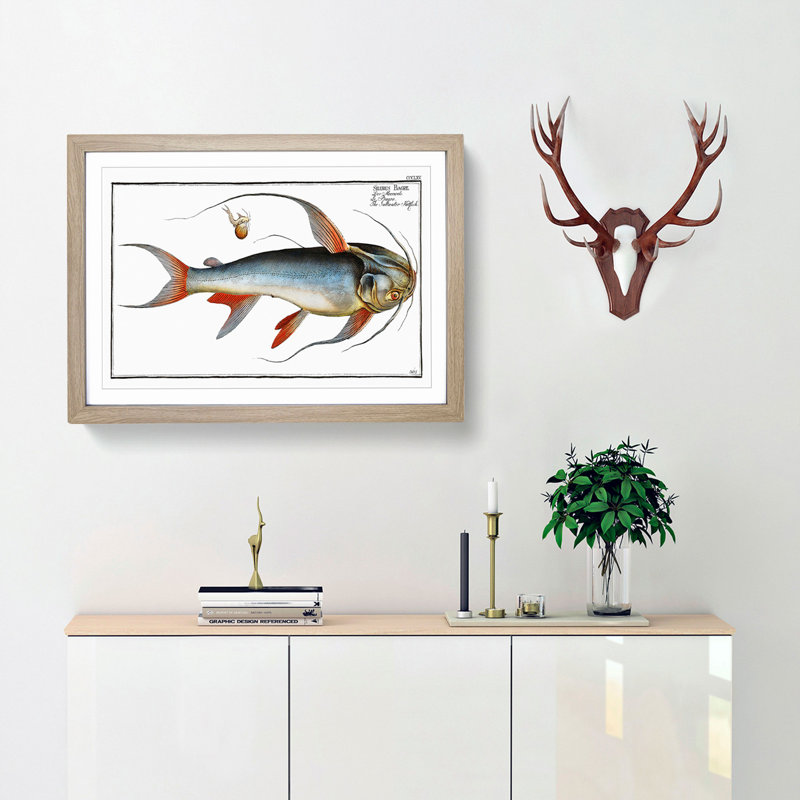 Saltwater Catfish by M.E. Bloch - Picture Frame Painting Print, 27cm H x 36cm W x 2cm D, Oak Framed