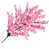 Pink sélectionné