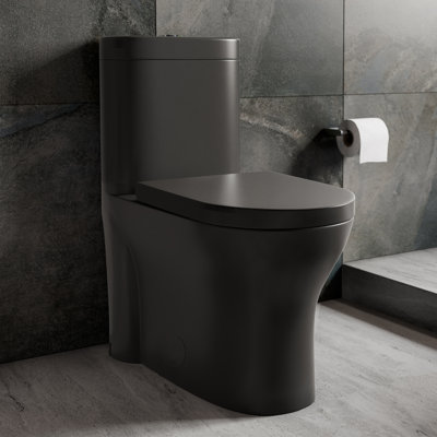 Monaco One-Piece Elongated Toilet Dual-Flush 1.1/1.6 gpf