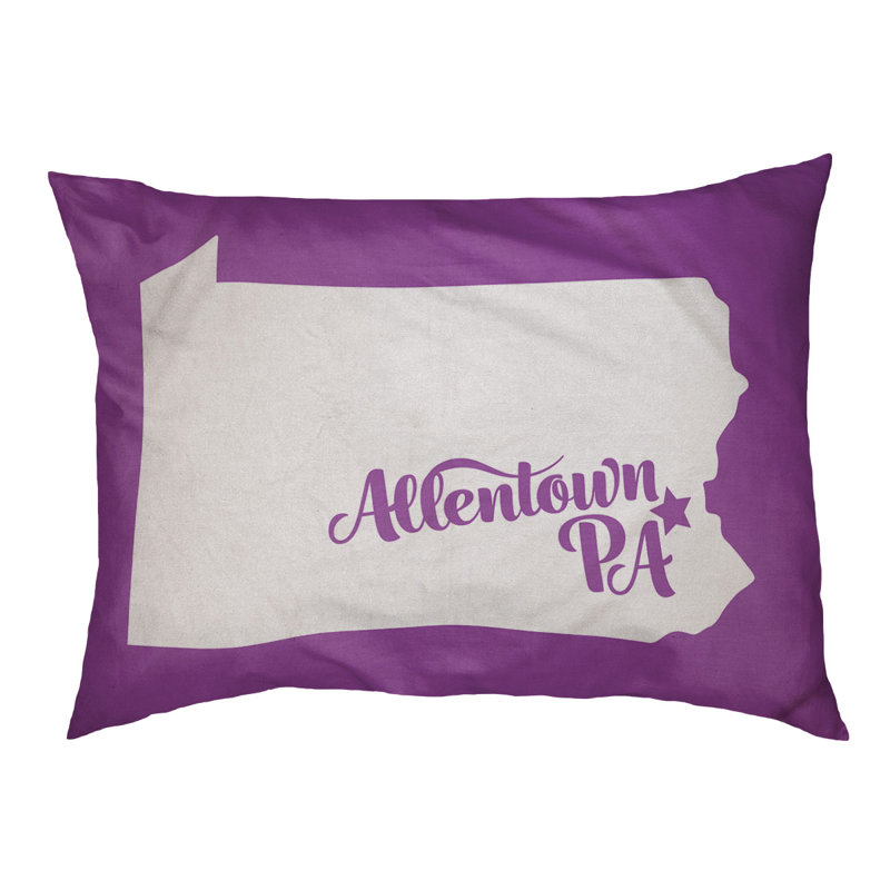 Coussin stylisé allentown de pennsylvanie, Grand (L 40 po x l 50 po), Violet