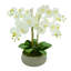 Orchid Arrangement in a Round Fiberstone Planter