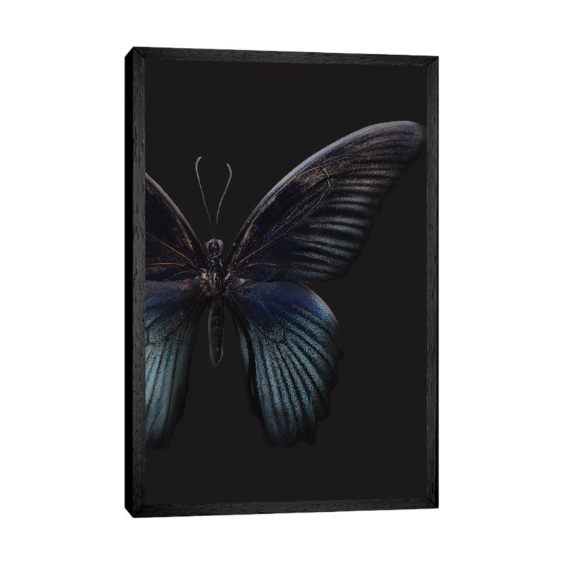 Black Butterfly On Grey - Painting on Canvas, 66.04cm H x 45.72cm W x 3.81cm D, Black Framed
