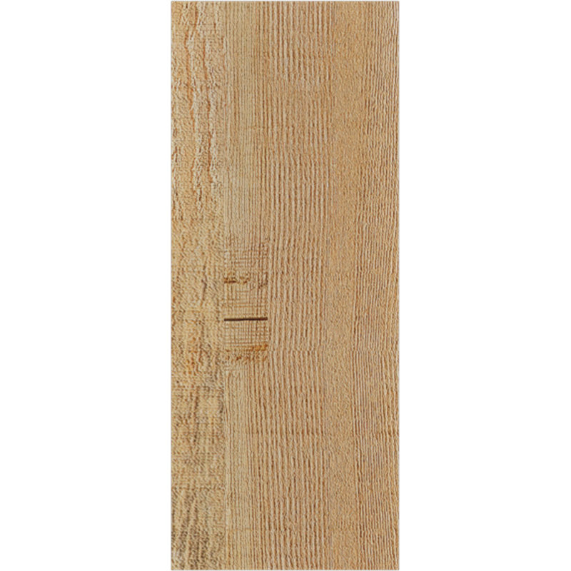 Sapin Douglas, Sapin de Douglas, H 10 po x l 32 po x P 4 po