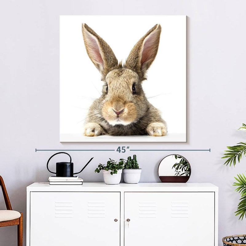 Crowle Fluffy Easter Rabbit, 33" H x 33" W