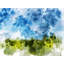 Nature Abstract_2401 Print by Chamira Young-65852624-132457550