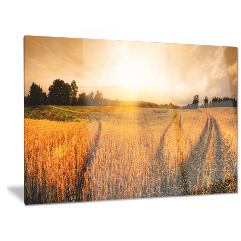 «Wheat Field at Sunset Panorama», reproduction de photo non encadrée sur métal, H 30 po x l 40 po x P 1 po