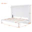 Lit escamotable double pleine grandeur-624765038-624765009