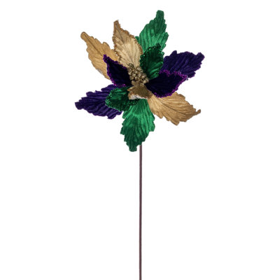 Poinsettia Mardi Gras 17" 12" Flwr 3/Sac