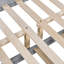 Bunk Bed With Trundle And Ladder-711679618