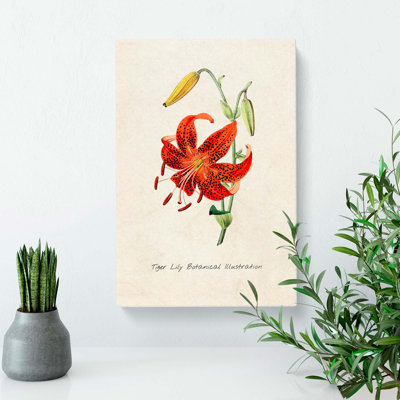 Illustration of a Tiger Lily Flower - Wrapped Canvas