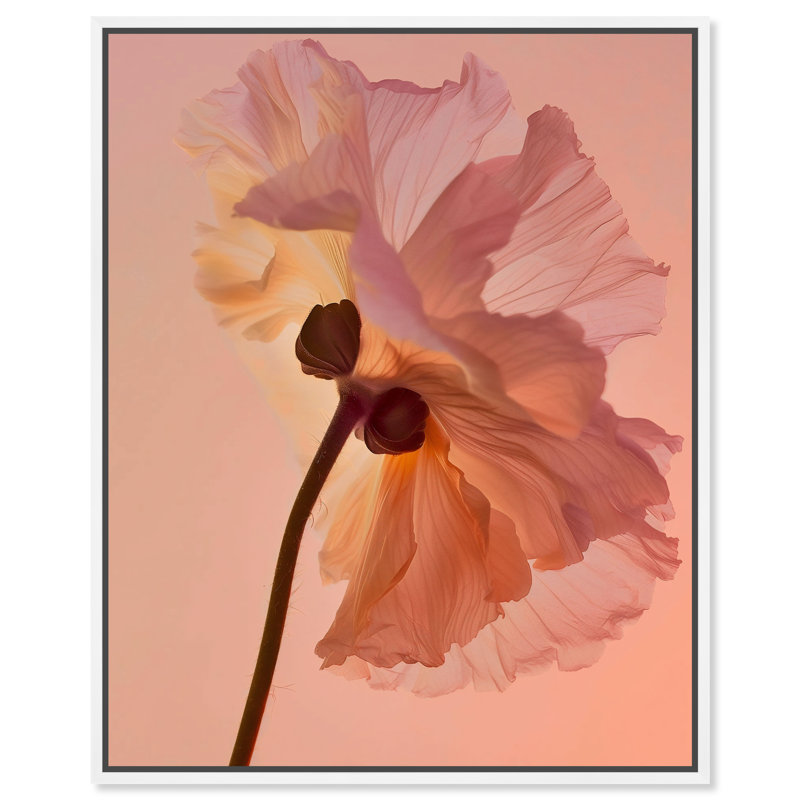 Amber Radiance III Print by Oliver Gal, 25"H x 31"W, White Floater Frame