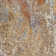 Tapis rouille Michalski