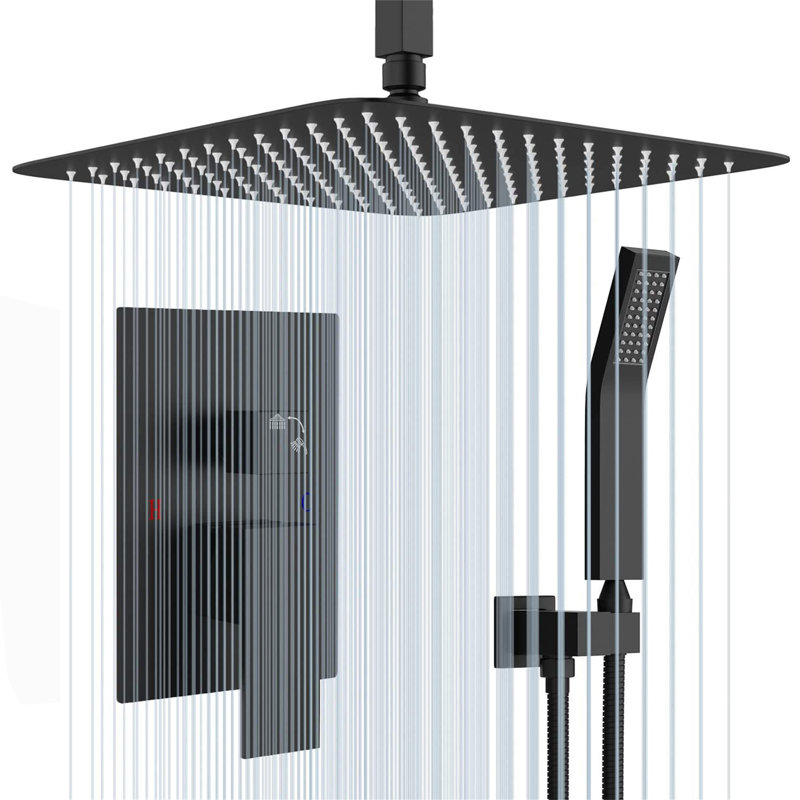 Pomme de douche standard double, Noir