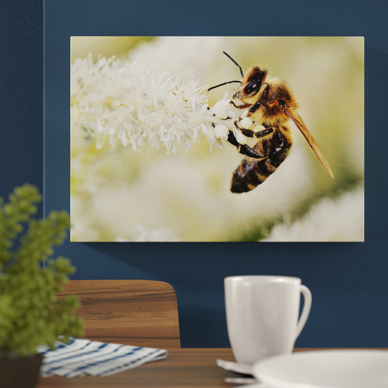 Bumble Bee Wrapped Canvas Print, 35cm H x 50cm W