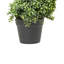 Faux Tree in Plastic / Acrylic Planter-699107453