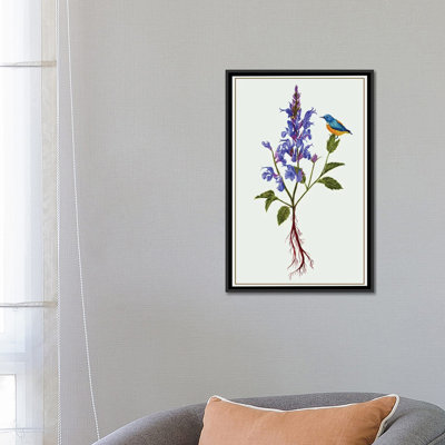 « salvia miltiorrhiza i », reproduction d’impression sur toile
