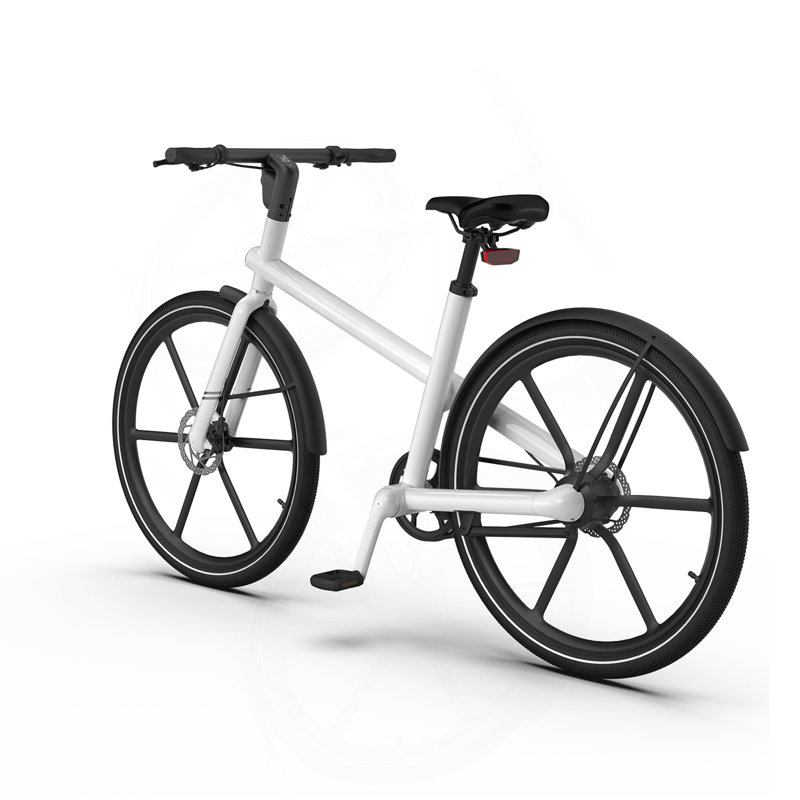 Electric Bicycle 350W