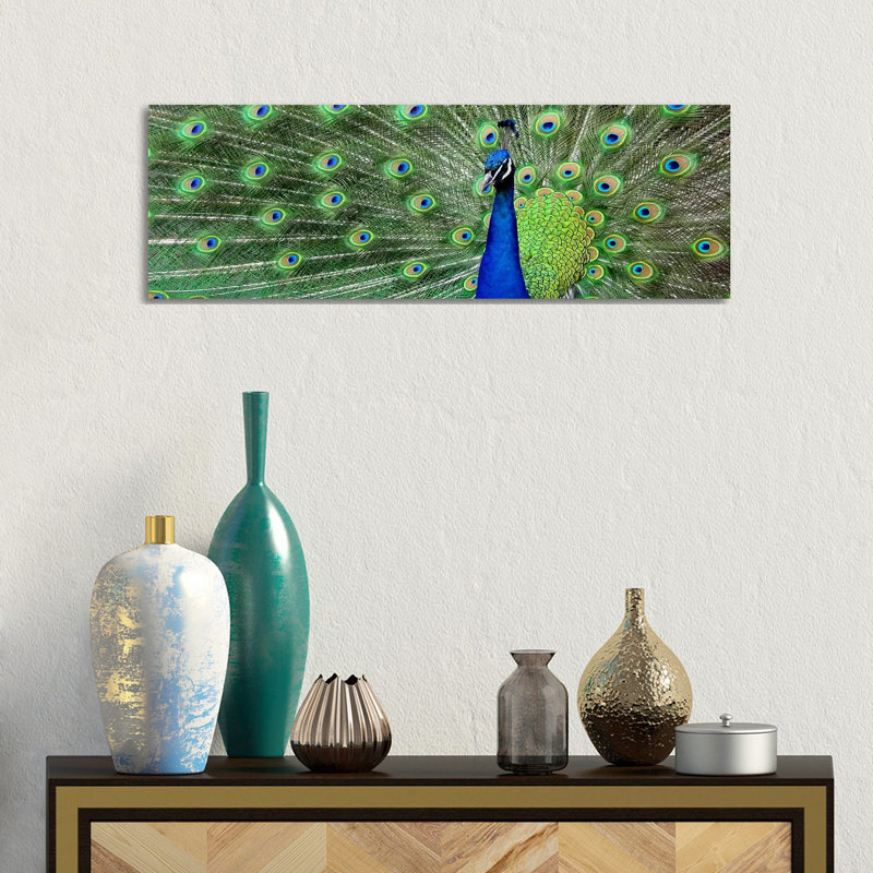 Aqua Peacock - Wrapped Canvas Panoramic Print, 30.48 cm H x 91.44 cm W x 1.91 cm D