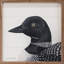 Loon par Robin Sue Studio-363846409