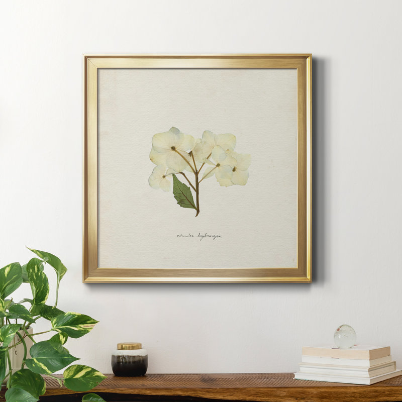 Cornales Hydrangea I-Premium, reproduction encadrée - prête à être accrochée, H 26,5 po x l 26,5 po x P 1,5 po, Pas de tapis