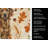 Chesapeake Bay Retriever Heirloom Fall Kitchen Towel-1218231010
