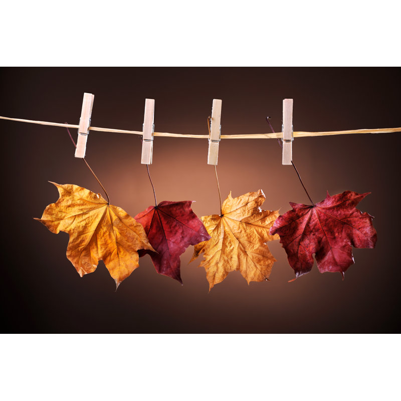 Autumn Coloured Maple Leaves 1 Piece Wrapped Canvas Wall Art, 30cm H x 46cm W