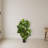 Fiddle Leaf Artificial Tree