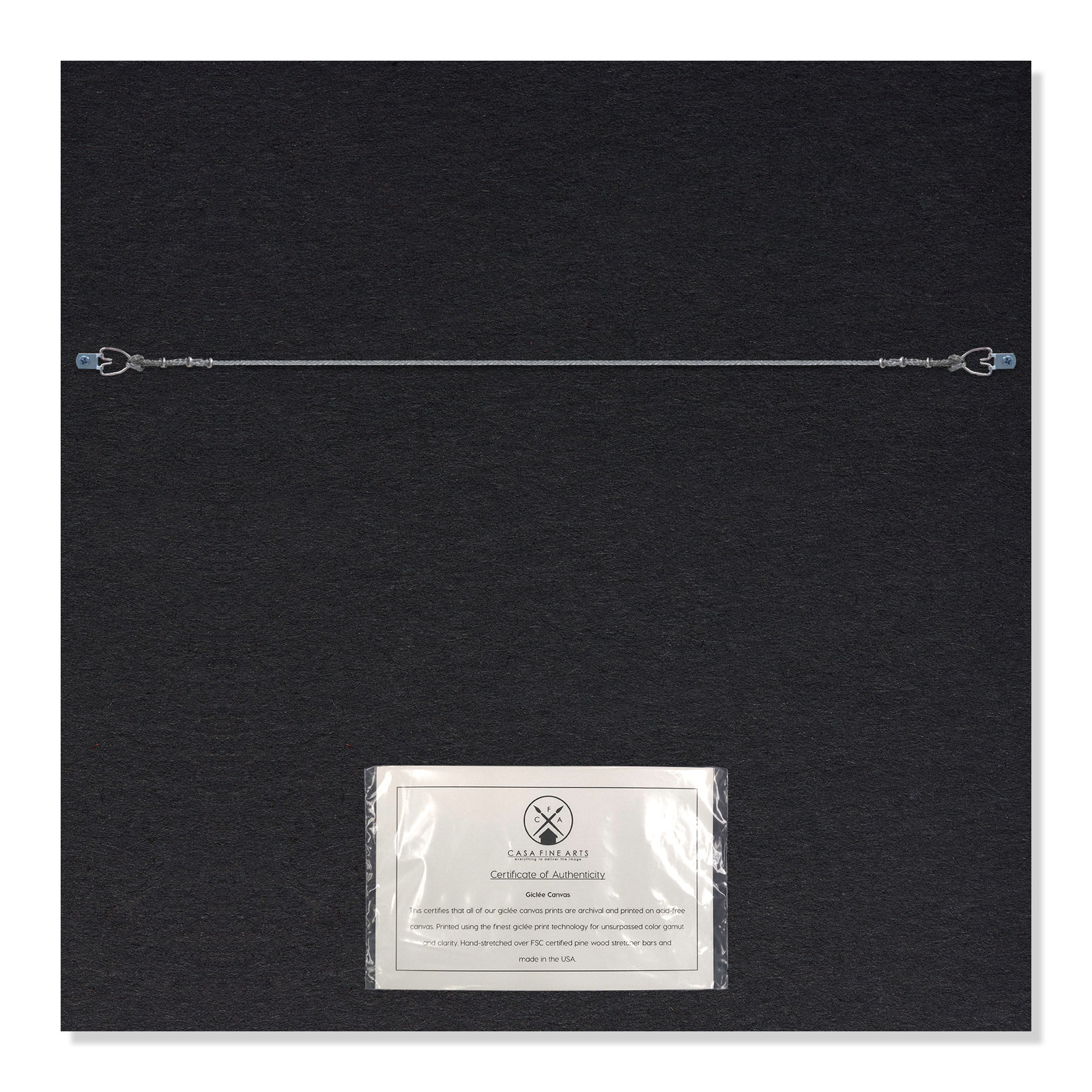 Dandelion "Serenity 1" Painting by Filippo Ioco, Silver , 24" H x 24" W x 2" D