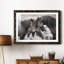 Chevaux sauvages - Photographie avec cadre photo-2049960917-2049960873