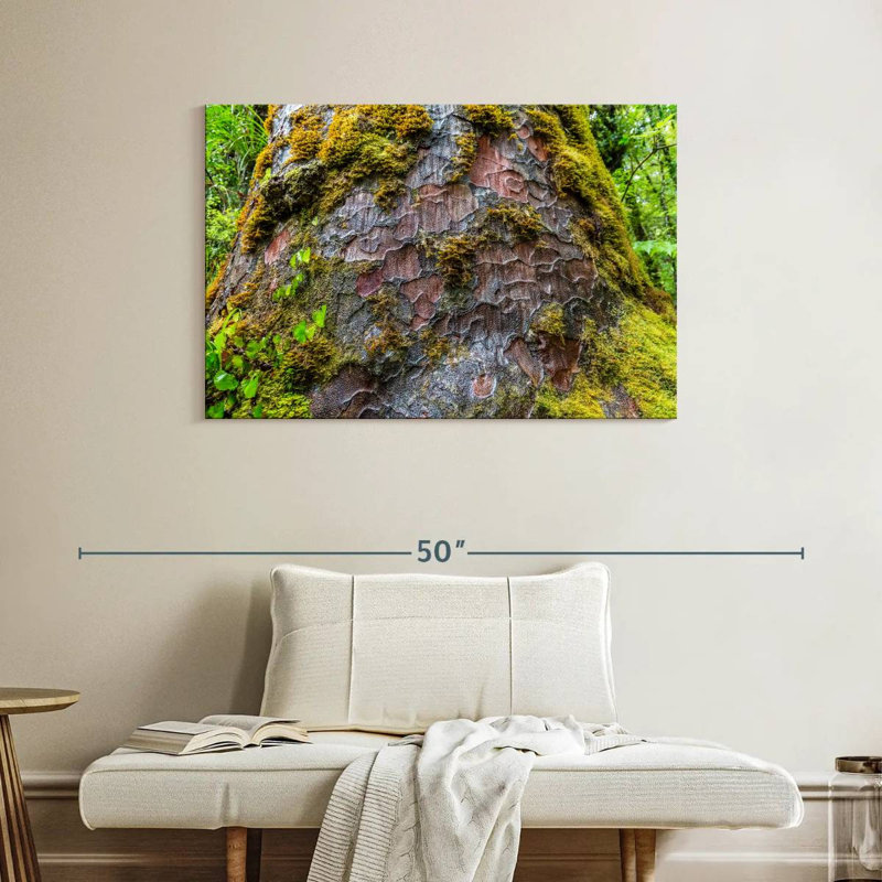 Mossy Kauri Tree, 26" H x 39" W