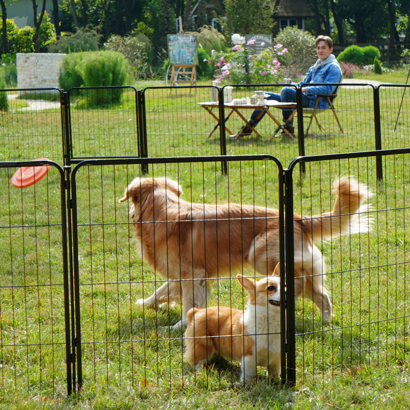 Multi-sized Metal Dog Exercise Pen Panels with 3 Doors, 45'' H X 643.2'' W X 0.63'' D