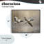 «Mallard Ducks over Pond», dessin de Susan Arnot-458284675-458284924