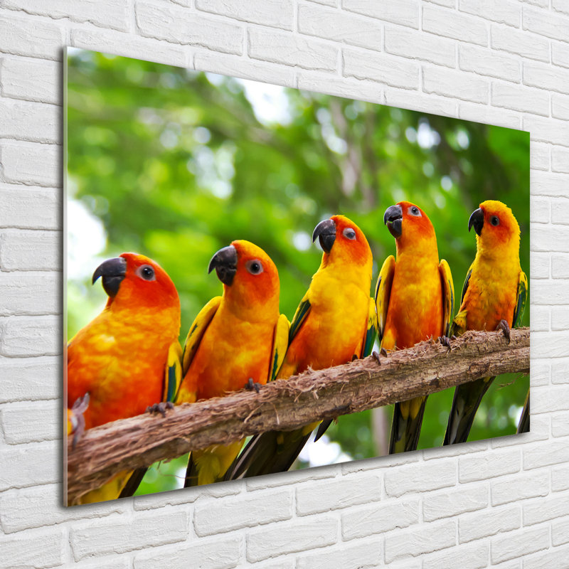 Parrots On The Branch - No Frame Print on Glass, 60cm H x 120cm W x 2cm D, Glass