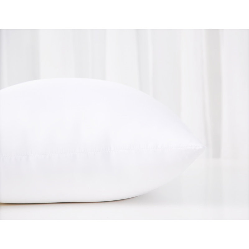 Solid Colour Reversible Pillow Insert, 22" H x 22" W