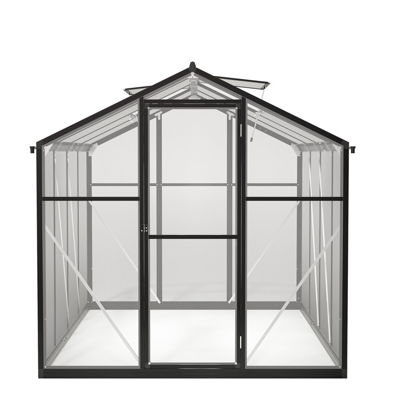 6X8 FT Greenhouse For Outdoors