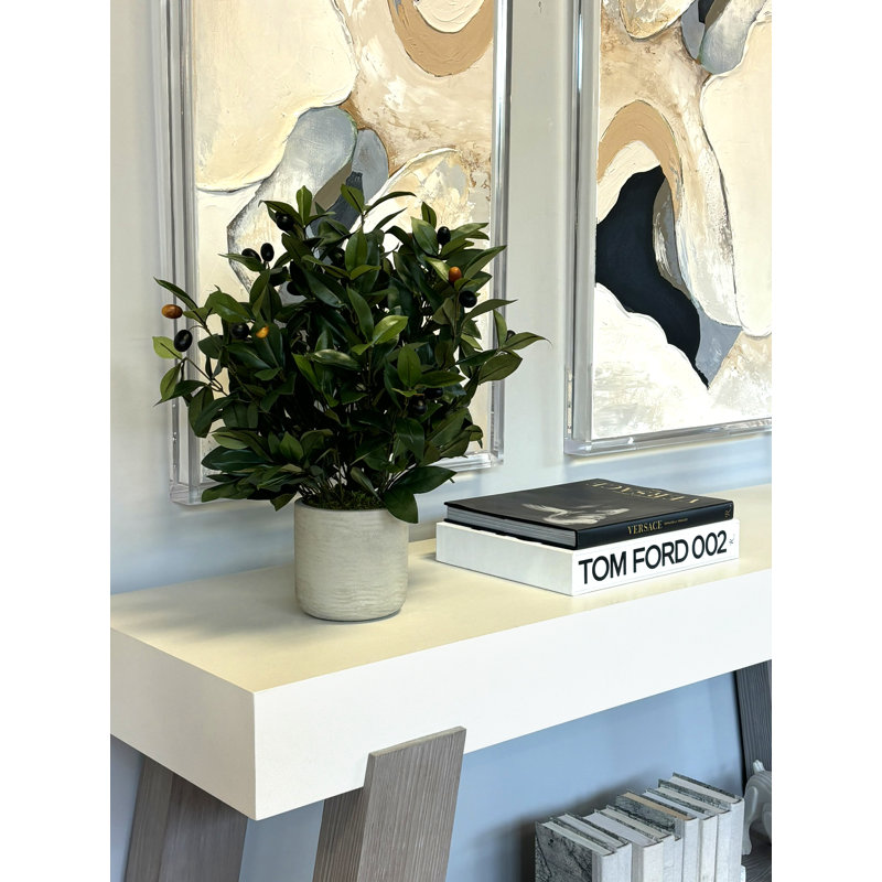 Faux Olive Tree Plant in Fiberstone Pot