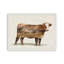 «Landscape Cow Fusion» par Amber Sterling, reproduction d'art-544772848-544772857-544772613