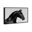 Midnight Majesty I Print by Oliver Gal-832405223-832405243